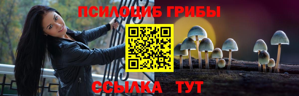 Псилоцибиновые грибы Psilocybe  Вход с VPN  Лысьва 